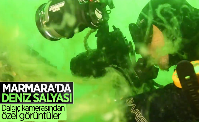 Deniz salyasıyla kaplanan Marmara Denizi’nin dibi görüntülendi