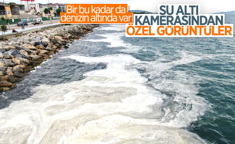 Bostancı sahilinde deniz salyası yoğunluğu su altı kamerasıyla görüntülendi