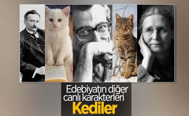 Edebiyatta kedi metaforu ve yazarların sevgisi