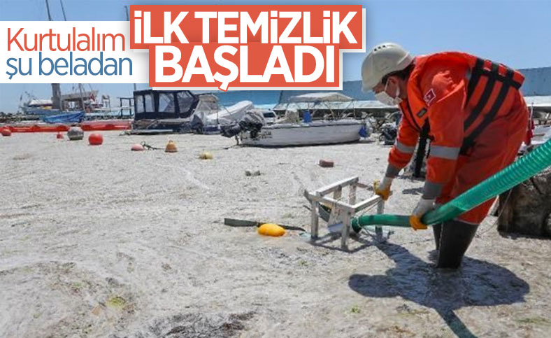 Çevre ve Şehircilik Bakanlığı, Marmara'da deniz salyası temizliğine başladı