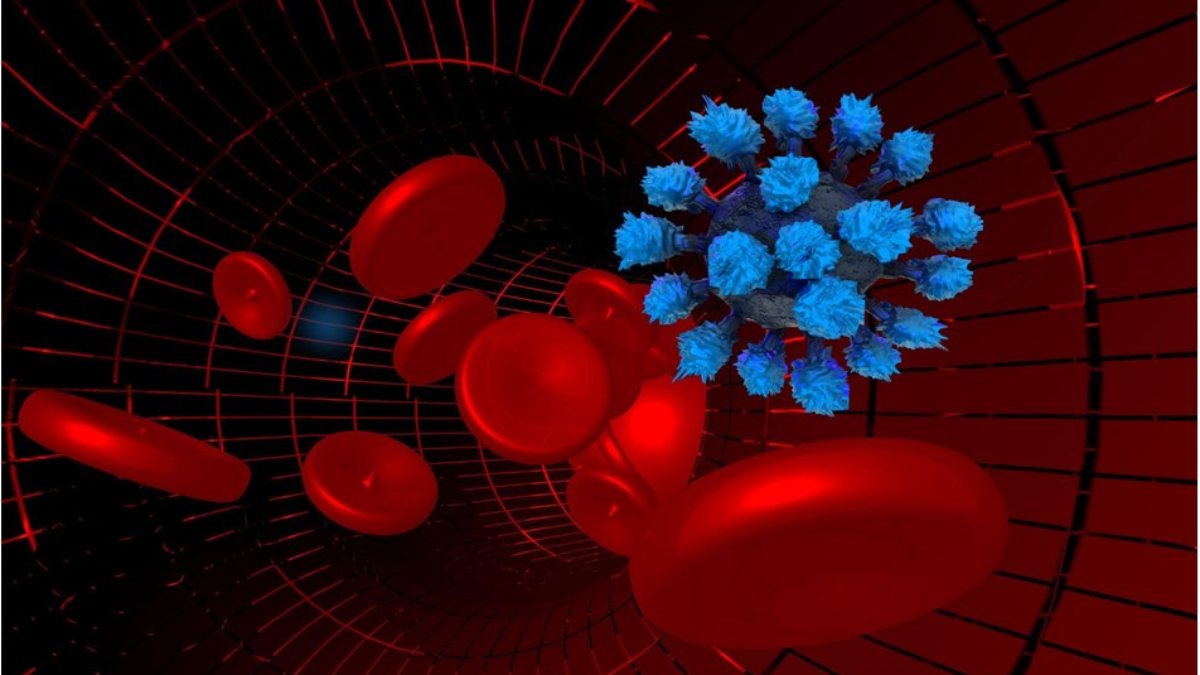 7 foods that prevent blood clots Kimdeyir