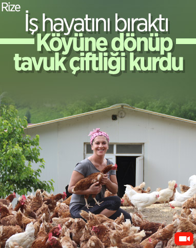 Rizeli girişimci kadın, köyüne dönüp tavuk çiftliği kurdu 