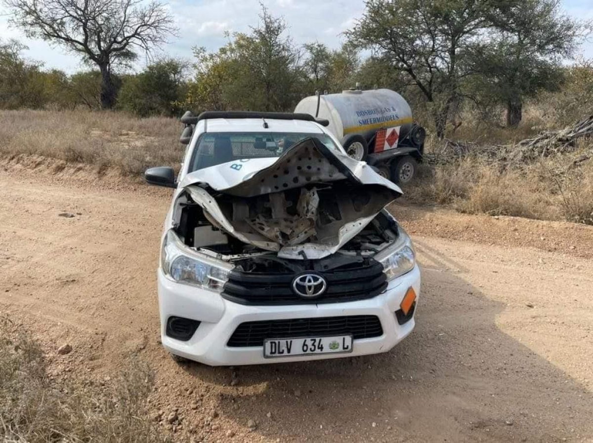 Elephant attacked car in South Africa #4