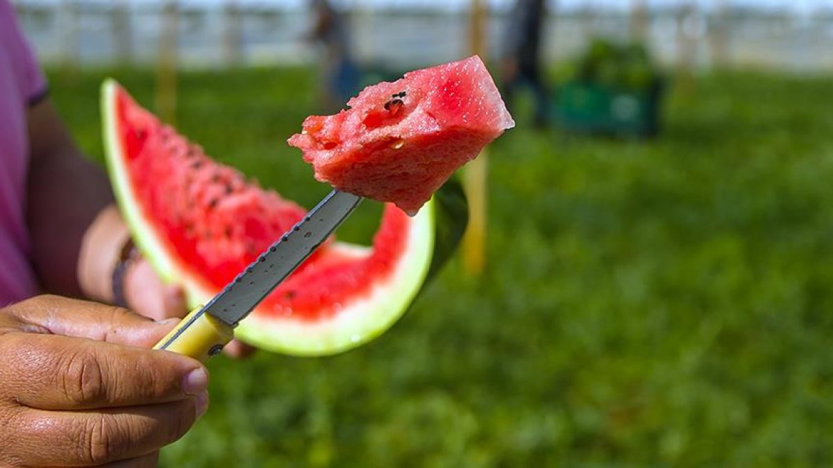 10 health benefits of watermelon #3
