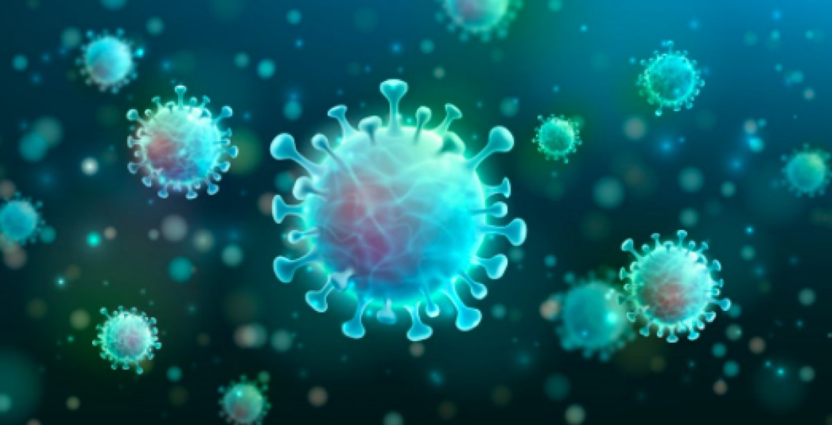 Koronavirüsten hastalanmayı önleyen gen keşfedildi #5