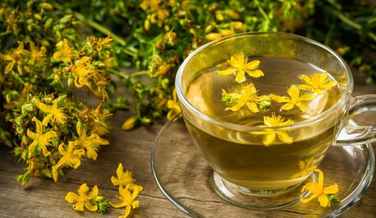 Restorative and healing effect: What are the benefits of St. John's Wort?  #3