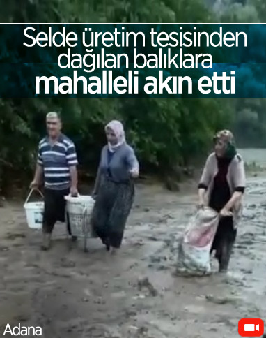 Adana'da selin tarlaya getirdiği balıkları mahalleli topladı