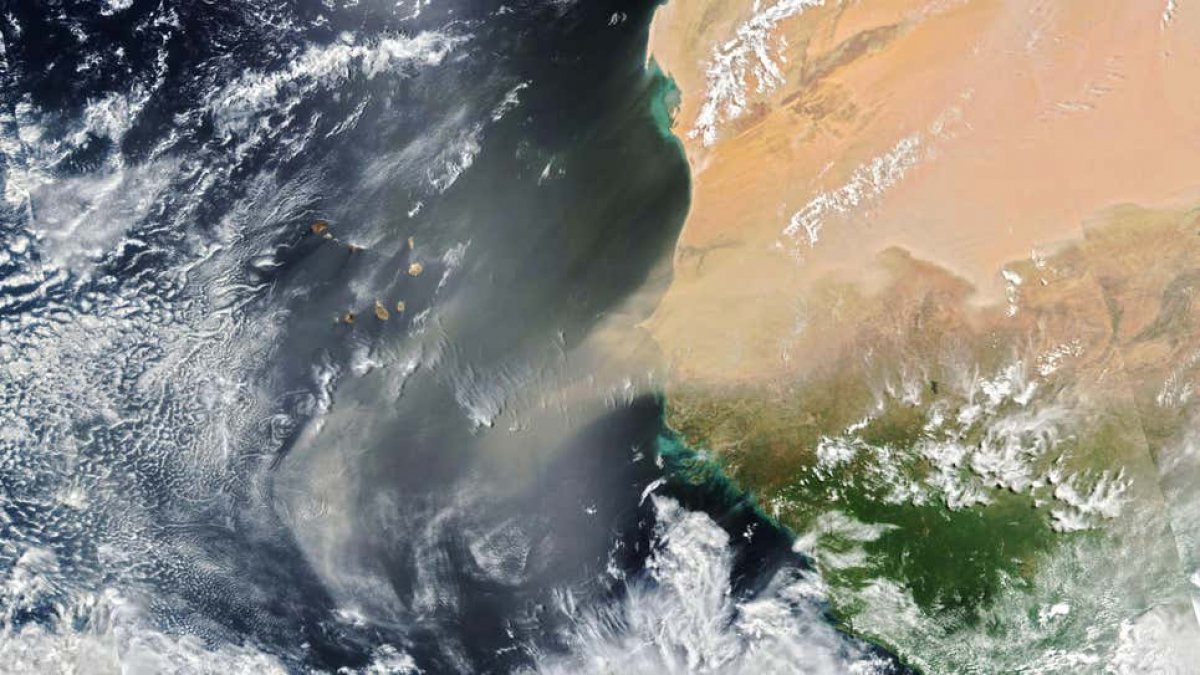 Sandstorm from the Sahara Desert, viewed from space #1