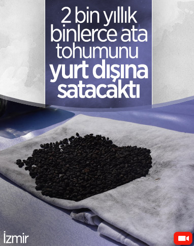 İzmir’de, binlerce yıllık ata tohumlarını satmaya çalışan şahıs yakalandı 