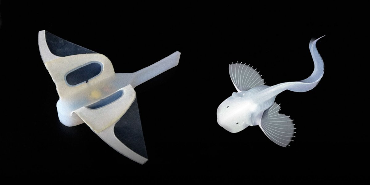 Soft robot fish developed to observe the seas #2