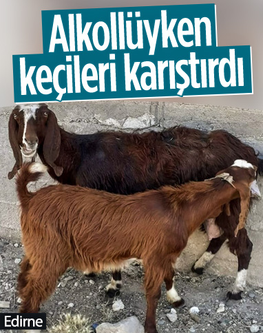 Edirne'de bir kişi, alkolün etkisiyle başkasına ait keçiyi evine götürdü