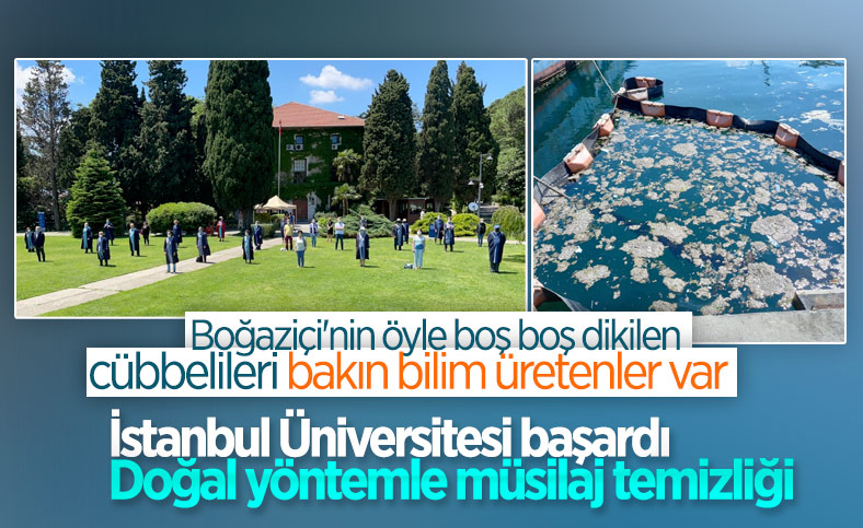İstanbul Üniversitesi'nden müsilaj çözümü: Deniz bakteri izolatları