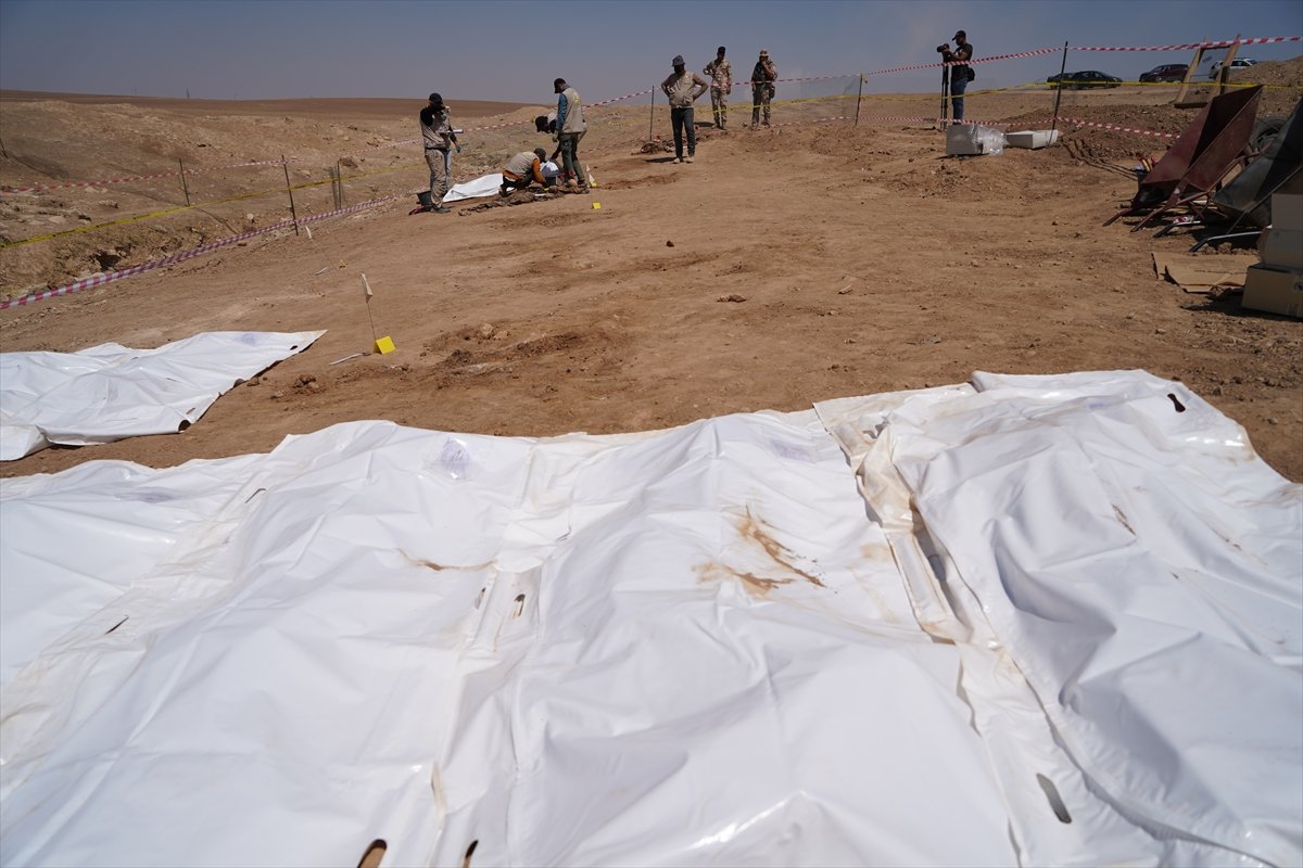 Two mass graves of 500 people killed by DAESH found in Iraq #8