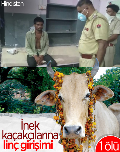 Hindistan'da inek kaçakçıları linç edildi