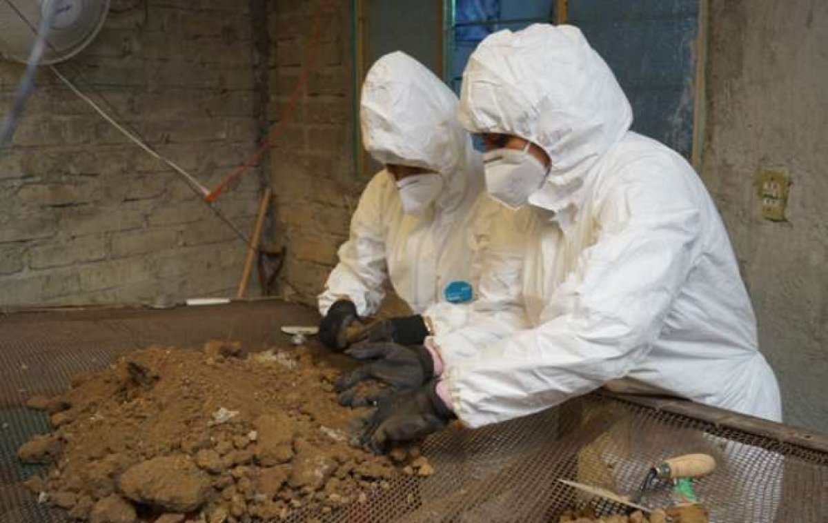 3,787 human bones found in a serial killer's house in Mexico #3