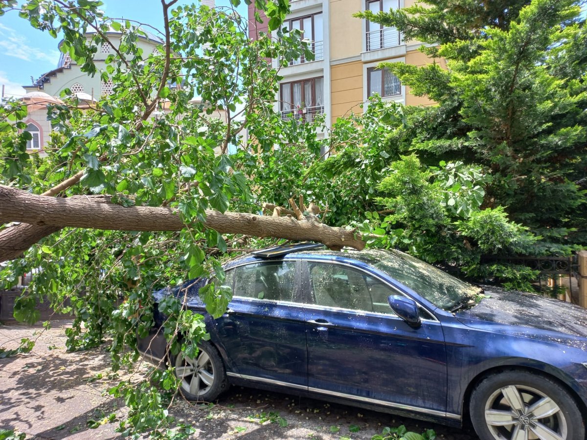 Ataşehir’de çürümüş ağaç, park halindeki aracın üzerine devrildi  #3