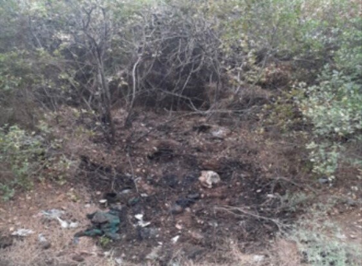 İzmir de orman yangını çıkarmak isteyen şüpheli, PKK/KCK üyesi çıktı #2