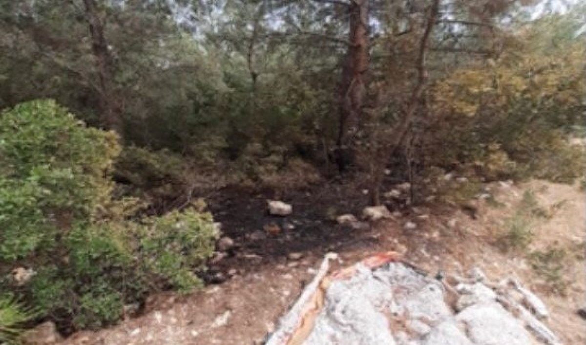 İzmir de orman yangını çıkarmak isteyen şüpheli, PKK/KCK üyesi çıktı #1