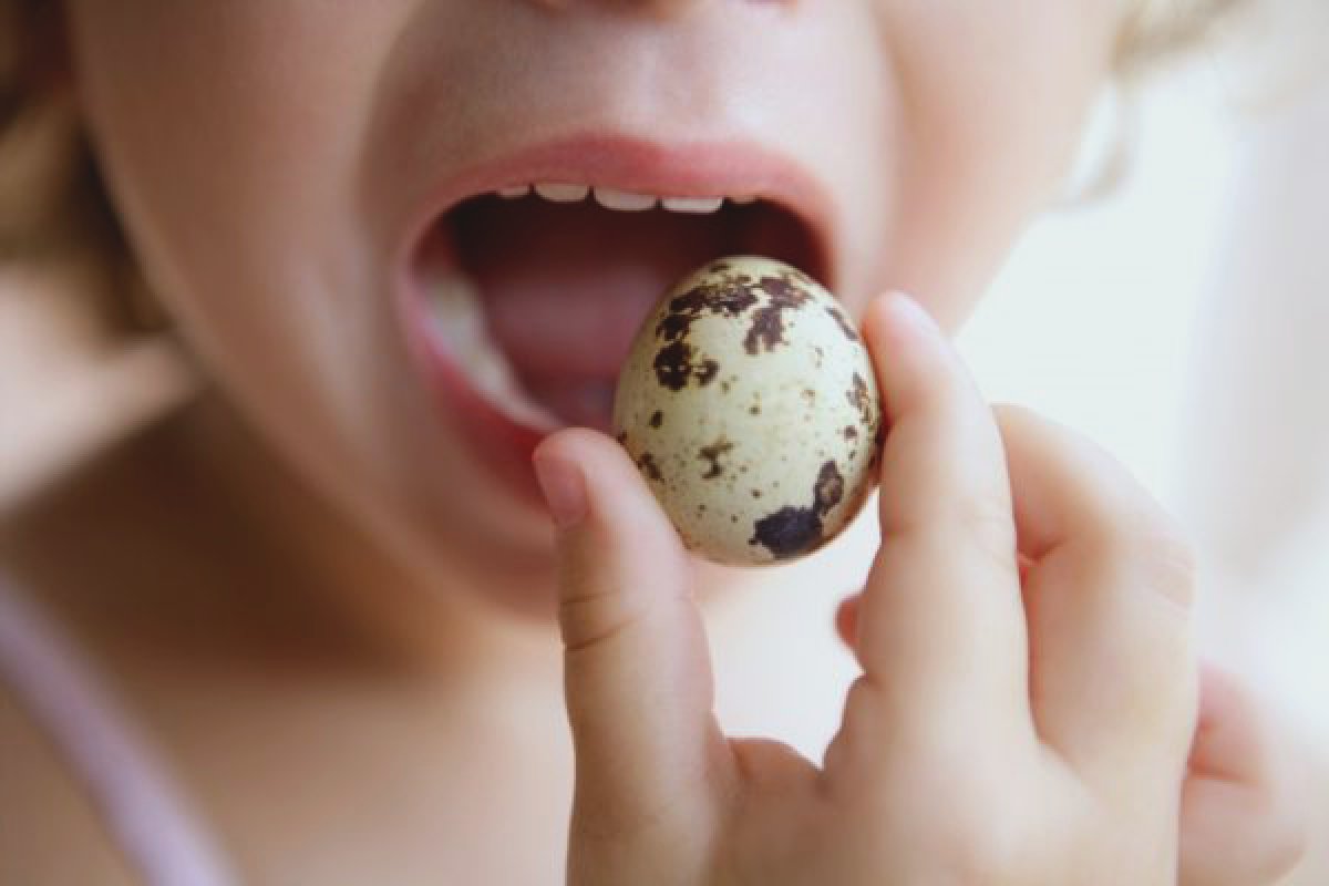 His little trick is big: the benefits of quail eggs #3