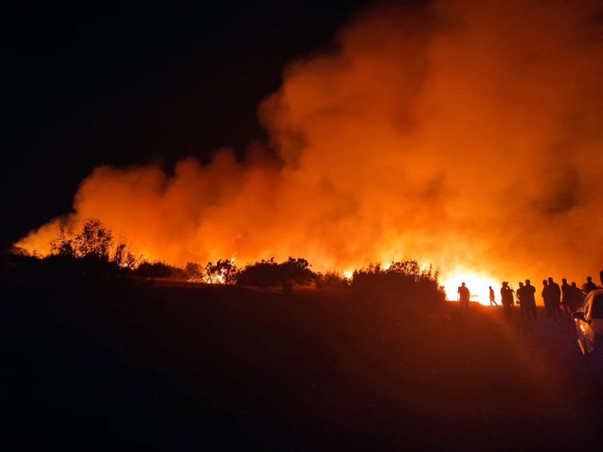 Gaziantep te orman yangını #1