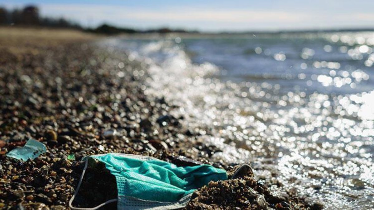 Microplastics affect lung cells Kimdeyir