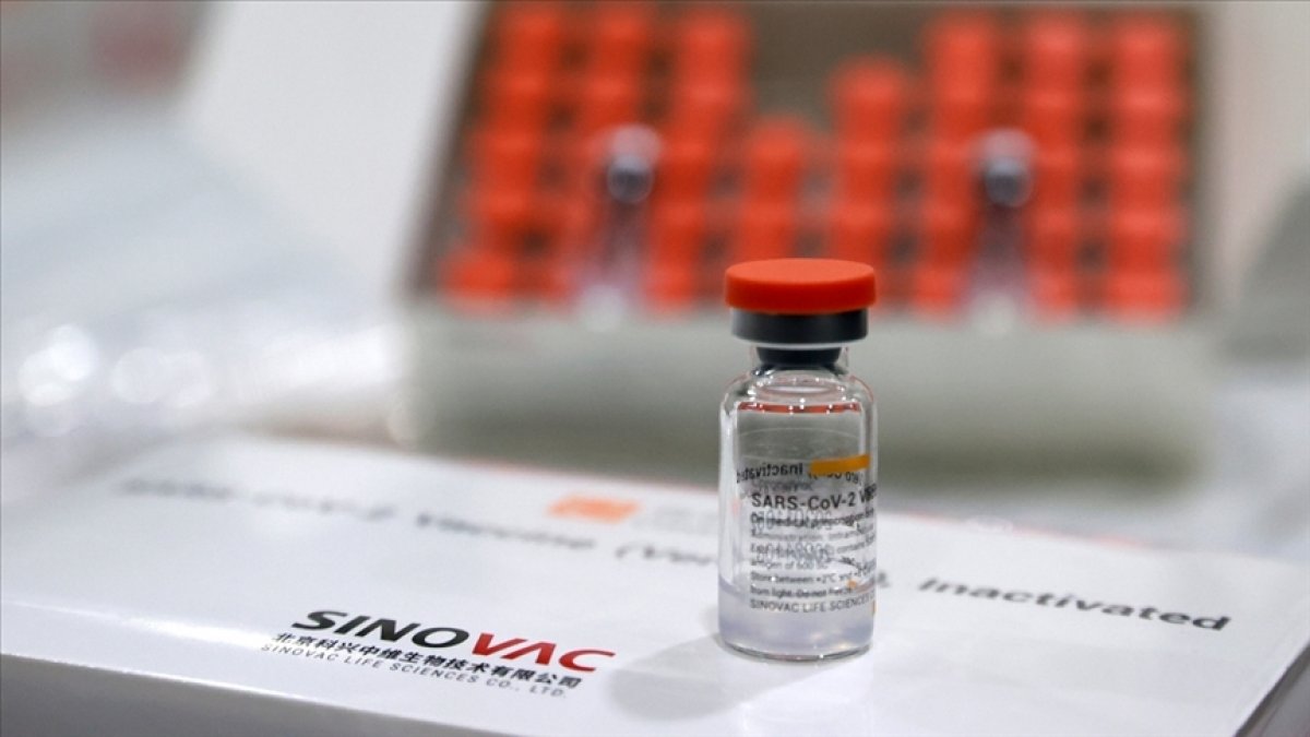 5 milyon doz Sinovac aşısı Türkiye de #2