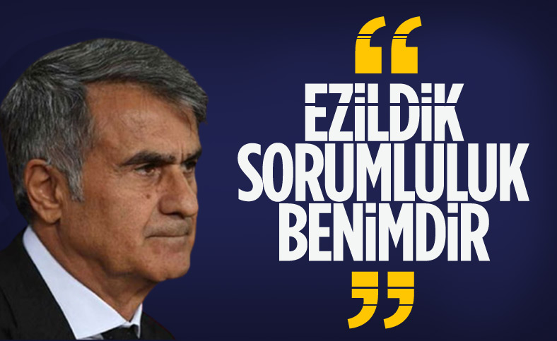 Şenol Güneş: Türk milletinin beklentisine cevap veremedik