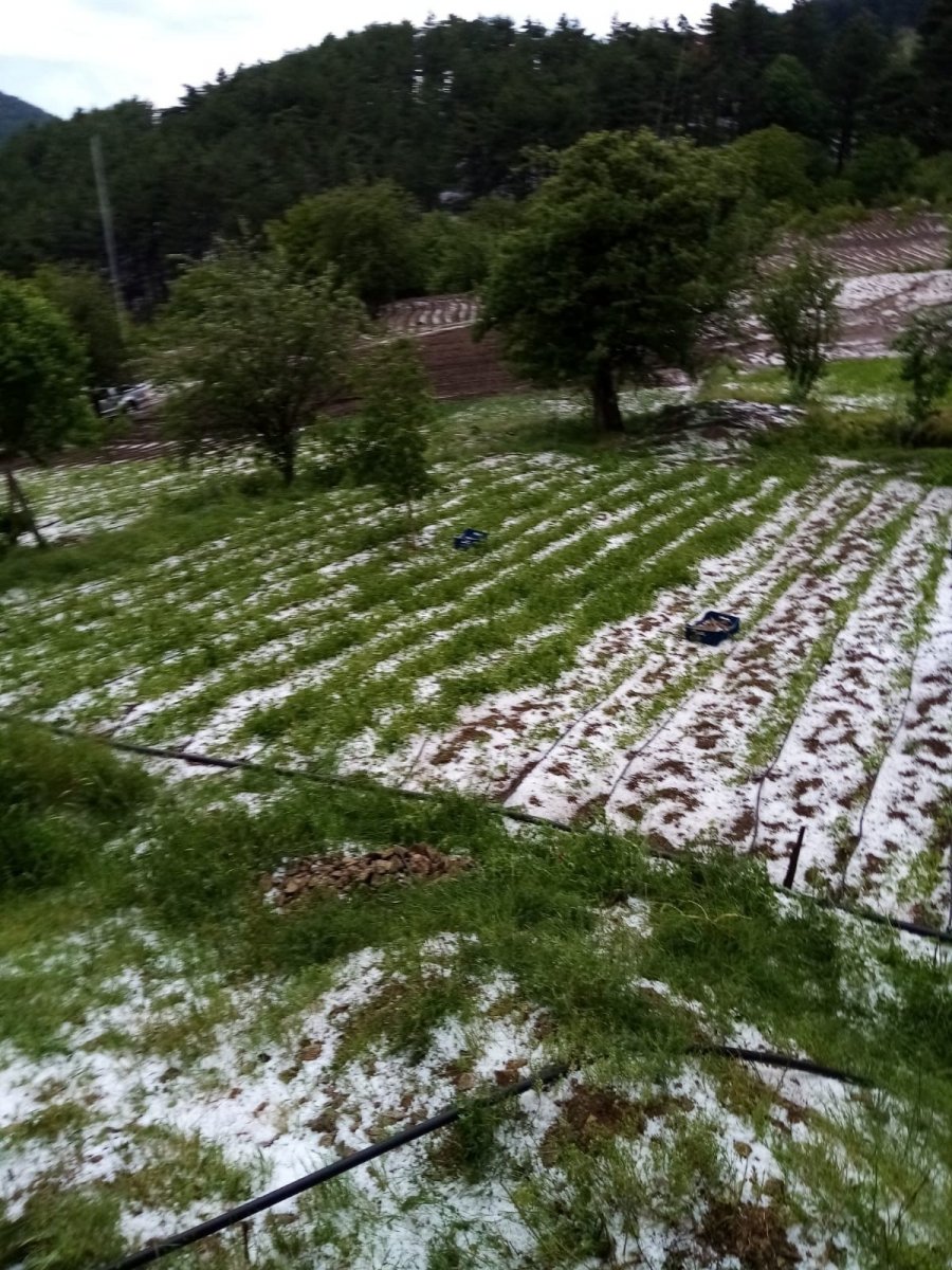 Bursa’da dolu yağışı mahsullere zarar verdi #5
