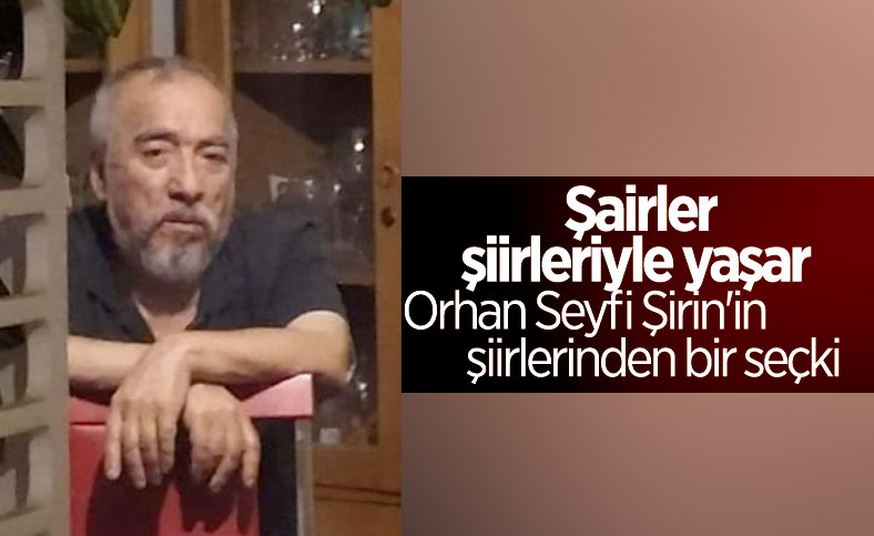 Hayatını kaybeden şair Orhan Seyfi Şirin'in şiirlerinden derleme