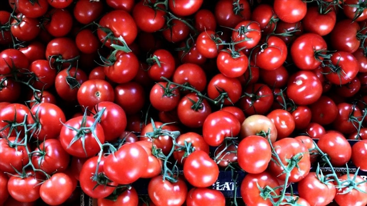 Türkiye nin yaş meyve ve sebze ihracatı mayısta yüzde 27 arttı #1