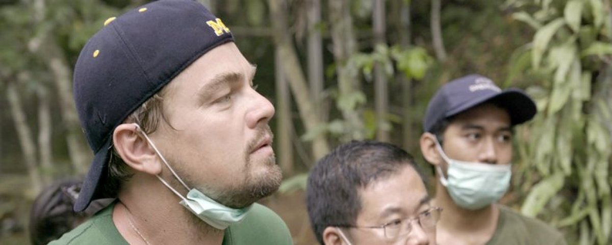 Leonardo DiCaprio drew the reaction of environmentalists with the hotel he wanted to build #2