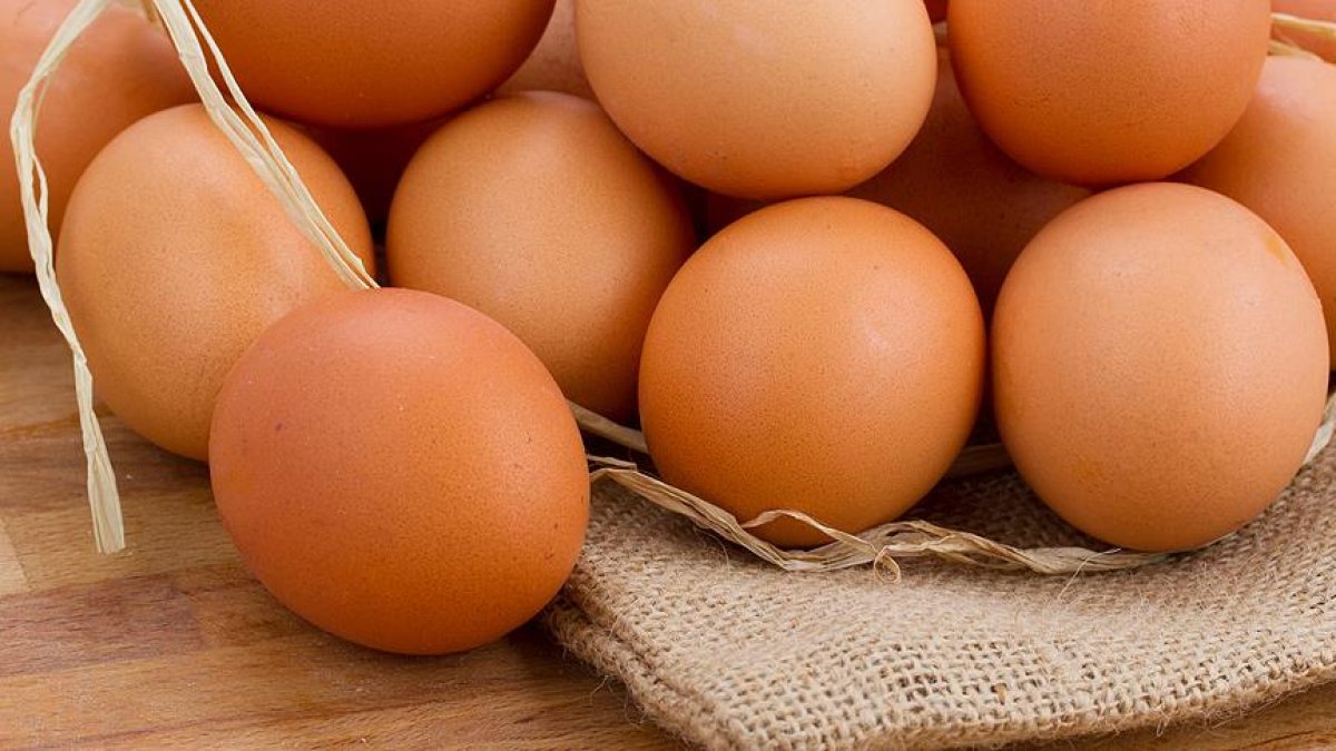 Foods That Can Help Children Grow Taller Kimdeyir