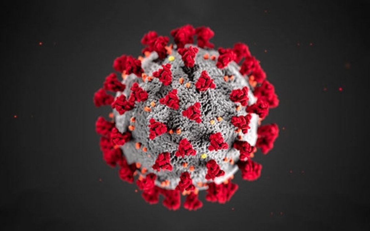 Koronavirüsün kökeni, 20 bin yıl önceye dayanıyor #1