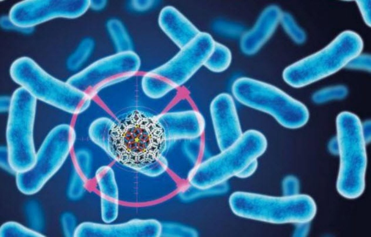 Laboratuvarlarda üretilen 10 ölümcül virüs ve bakteri #8