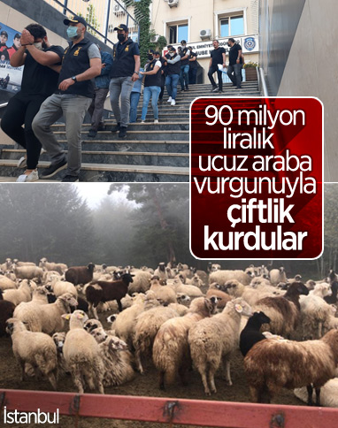 İstanbul'da 90 milyon liralık araba vurgunu