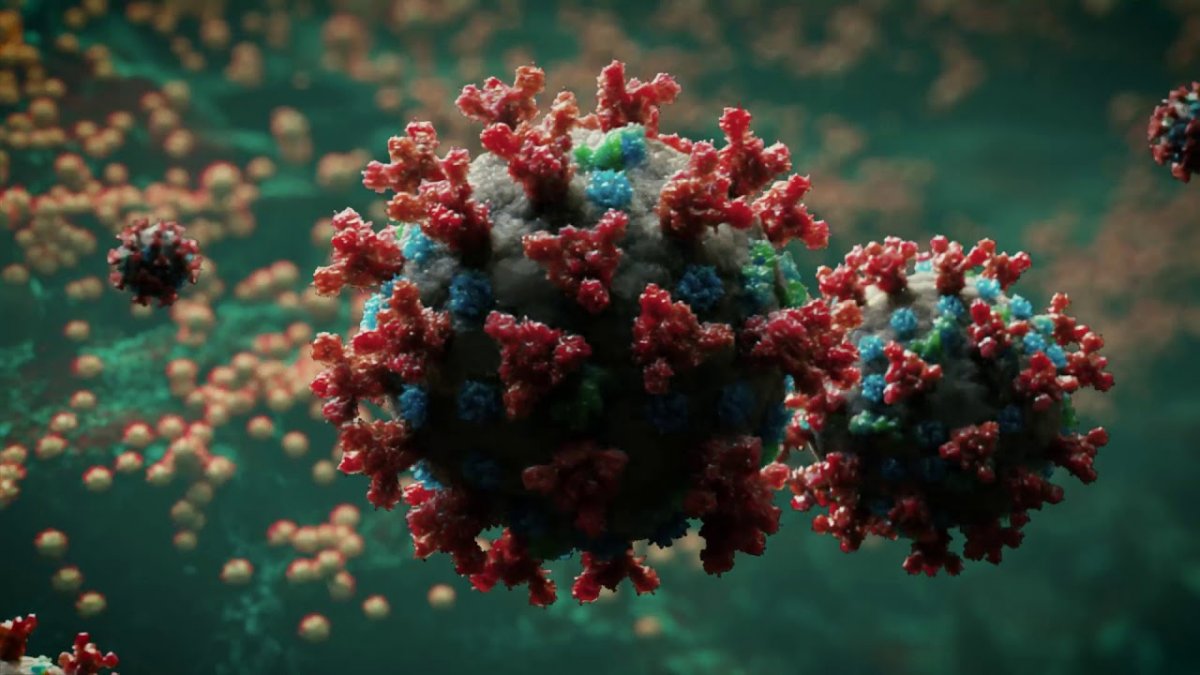 Beta variant of coronavirus may be more resistant to vaccines #3