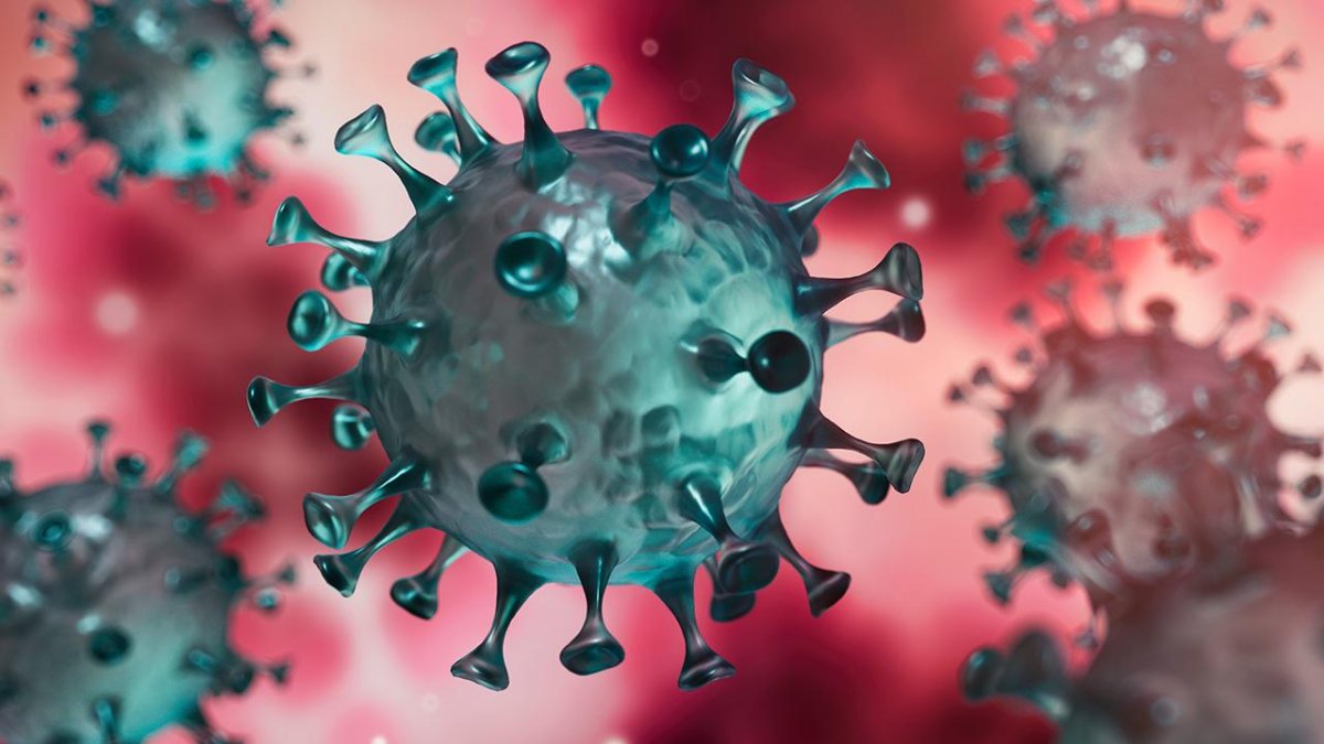 Beta variant of coronavirus may be more resistant to vaccines – Kimdeyir