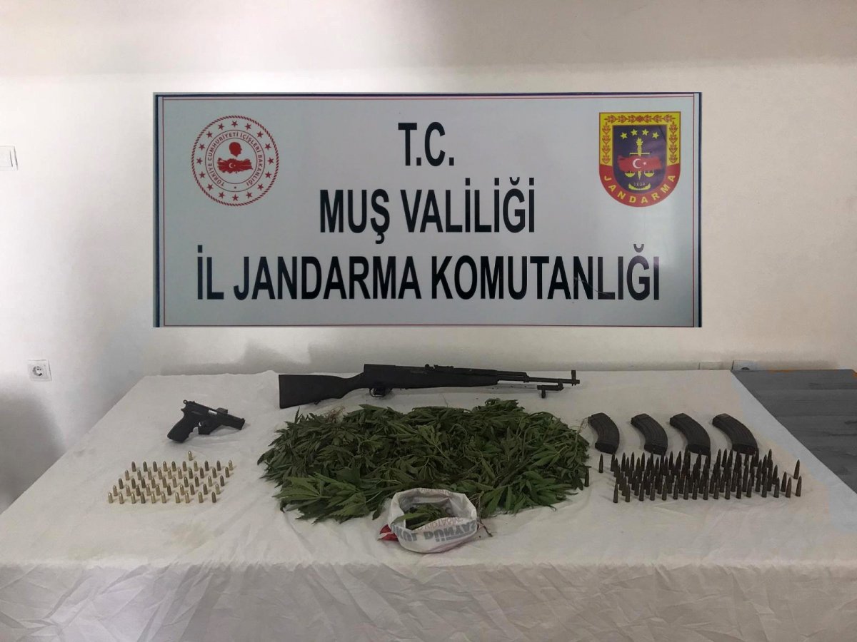 Muş’ta, yasa dışı kenevir ekimi ve mühimmat kaçakçılığı operasyonu #1