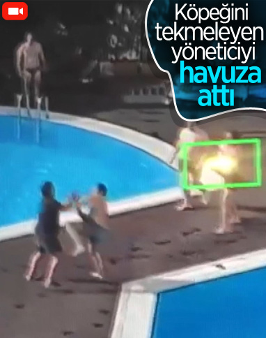 Beşiktaş'ta köpeği tekmeleyen site yöneticisi havuza atıldı
