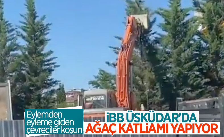 İBB'den Üsküdar-Sultanbeyli metro hattında ağaç katliamı