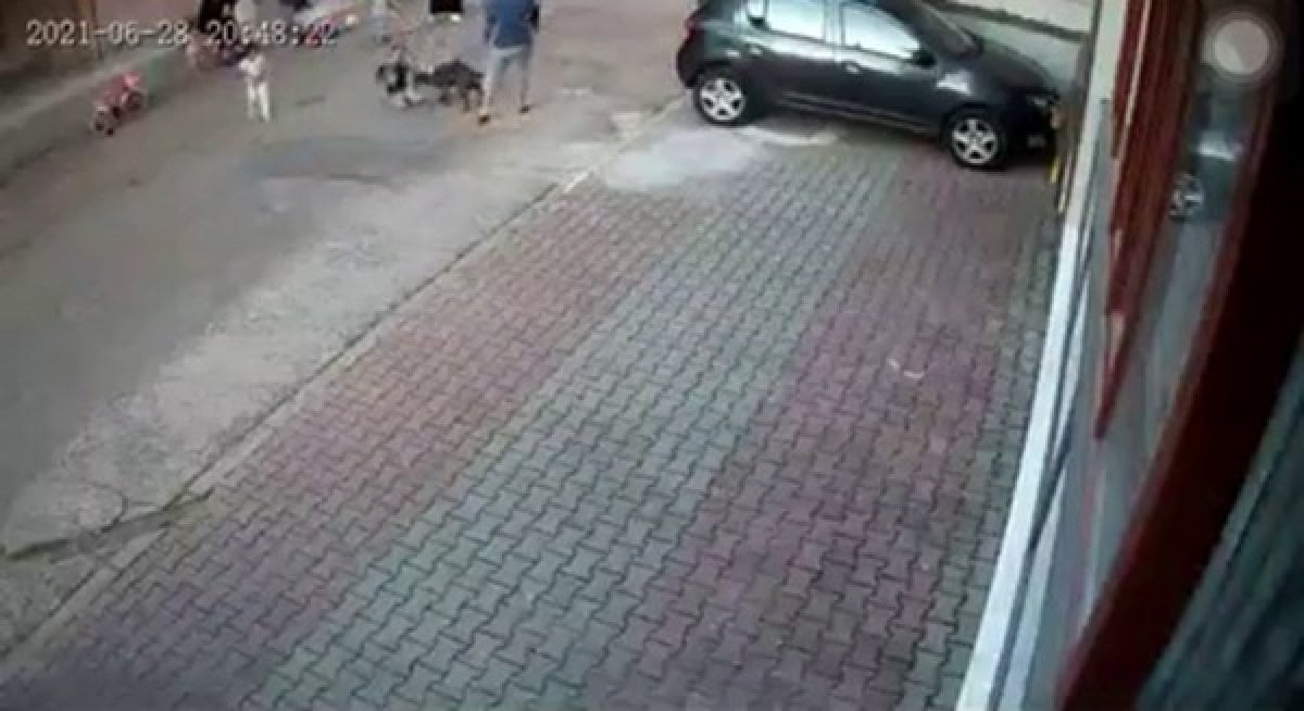 Kartal’da 9 yaşındaki çocuğa pitbull saldırdı #1