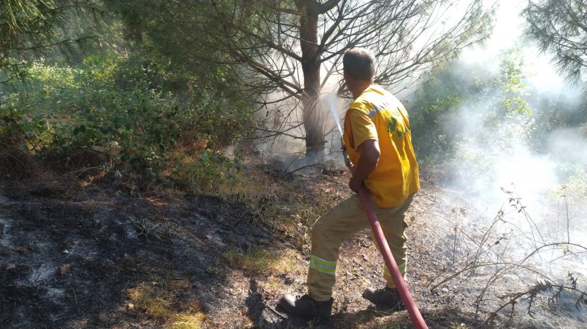 Bursa’da temizlik işçisi ormanlık alanda çıkan yangına sebep oldu #4