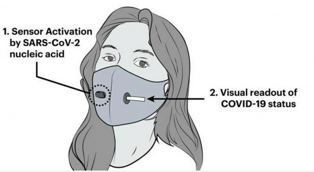A mask that can detect coronavirus was developed in the USA #6