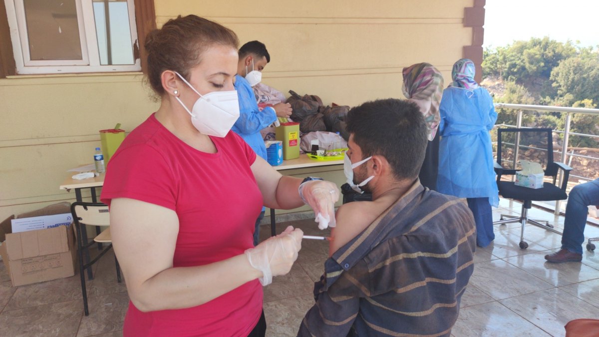 Vaccination on the slopes of Mount Amanos #3