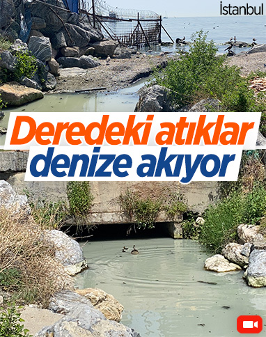 Kadıköy'de atıklarla pislenen derenin suyu denize karışıyor 