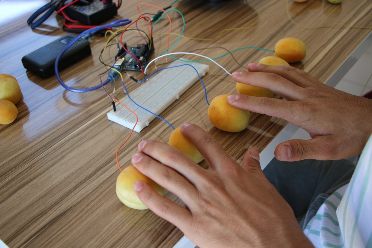 A young man living in Malatya made a piano with keys from apricot #1