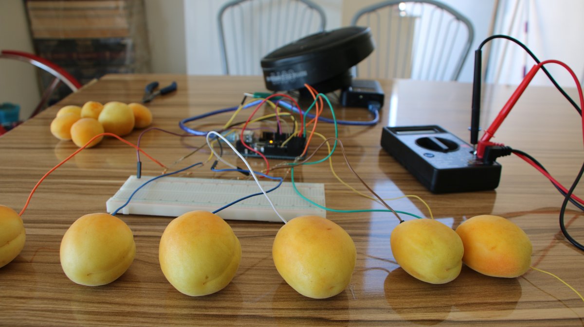 A young man living in Malatya made a piano with keys from apricots #3