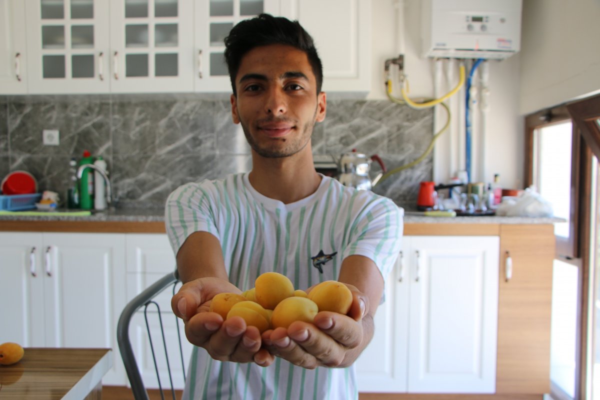 Young man living in Malatya made a piano with apricot keys #4