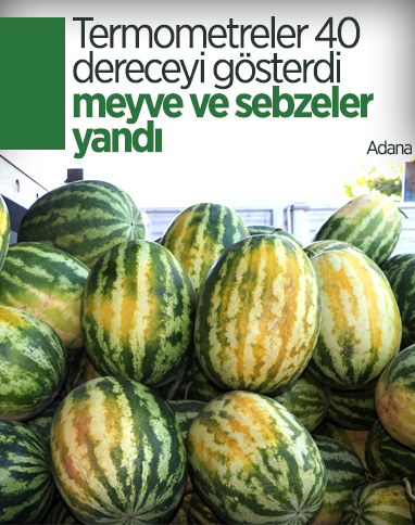 Adana'da sıcaklık 40 derece: Meyve ve sebzeler zarar gördü 