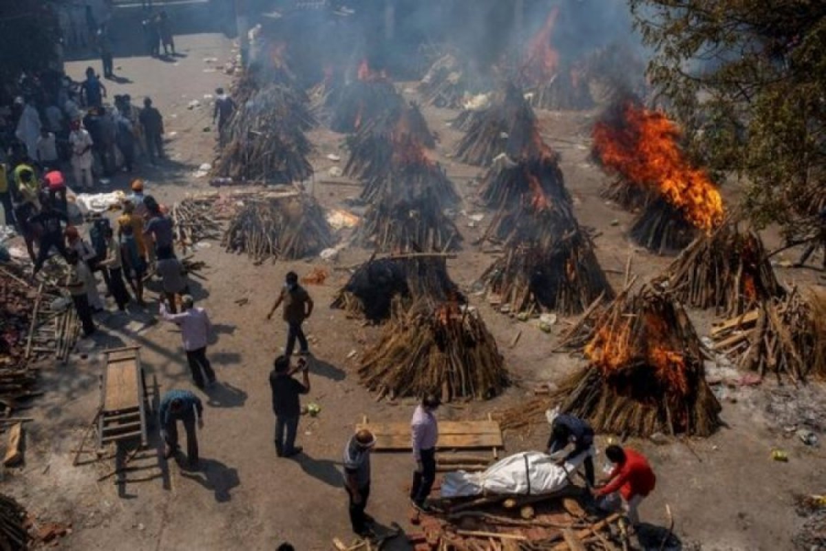 A park will be built from the ashes of those who died from coronavirus in India #1